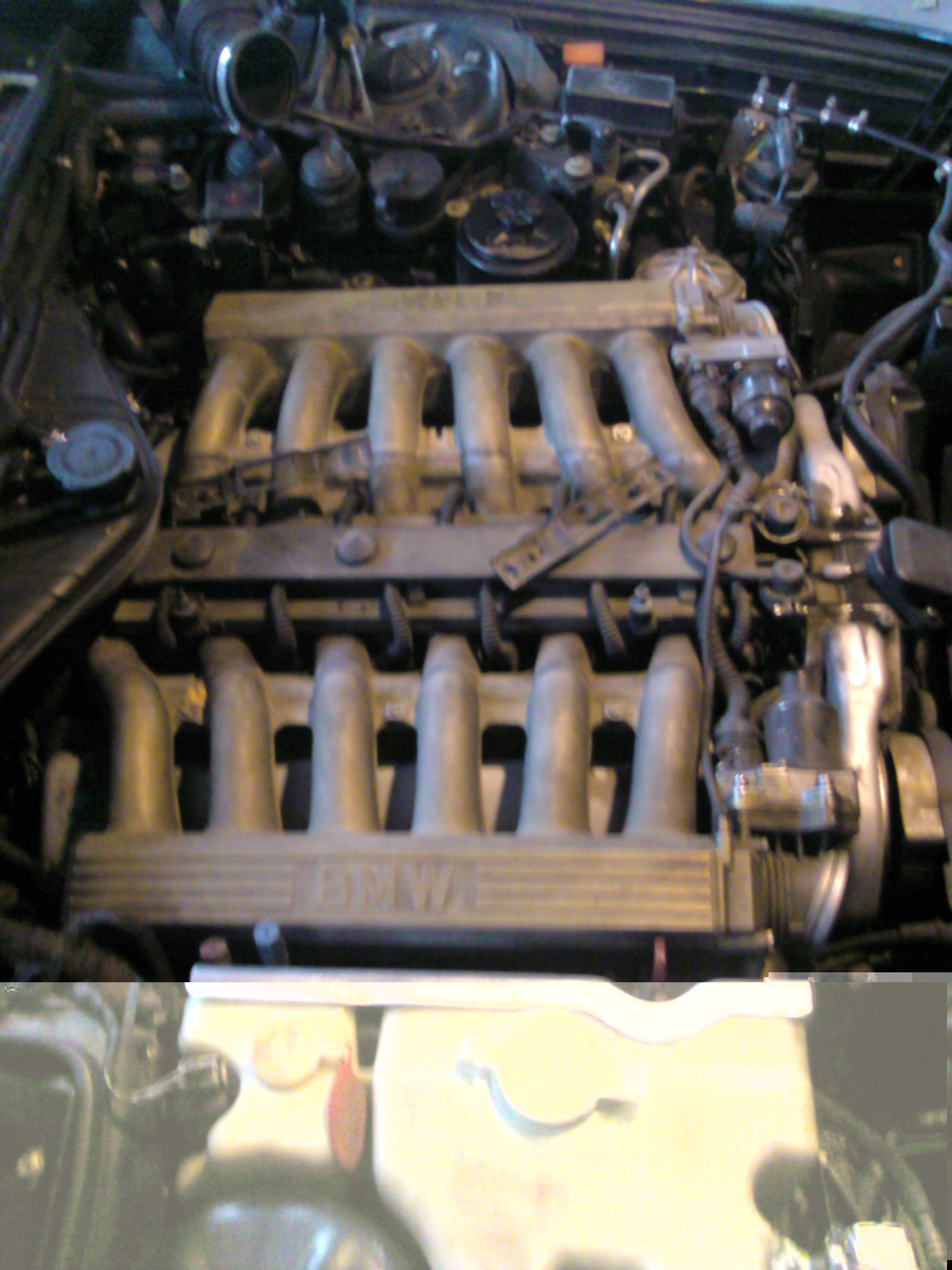 BMW M70B50 V12