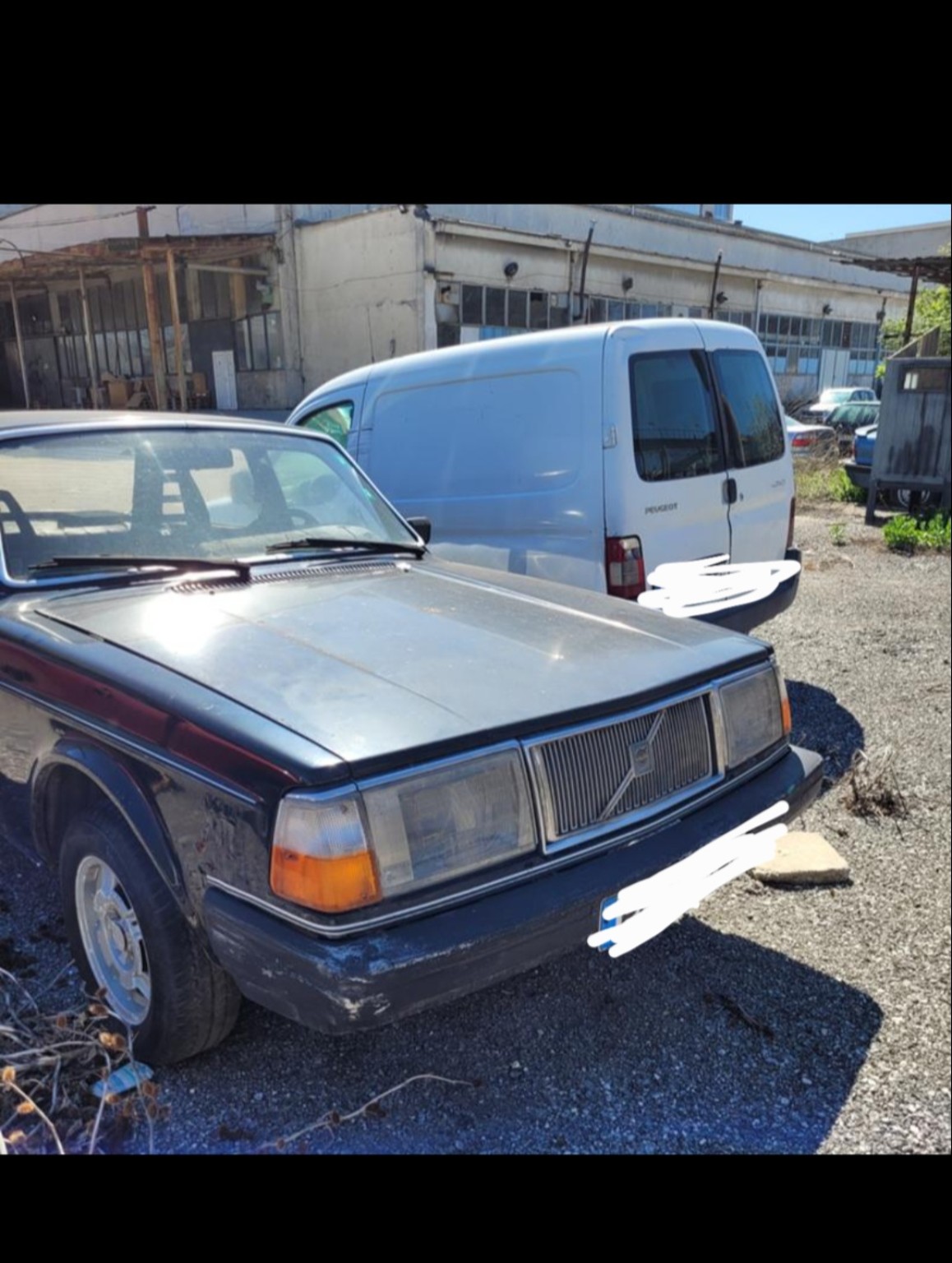 Volvo 244